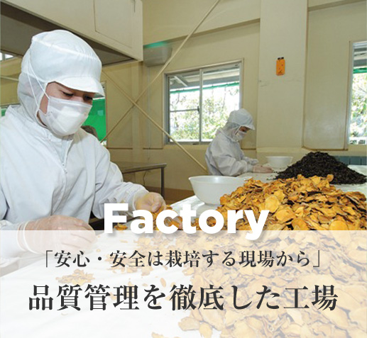 Factory　「安心・安全は栽培する現場から」品質管理を徹底した工場